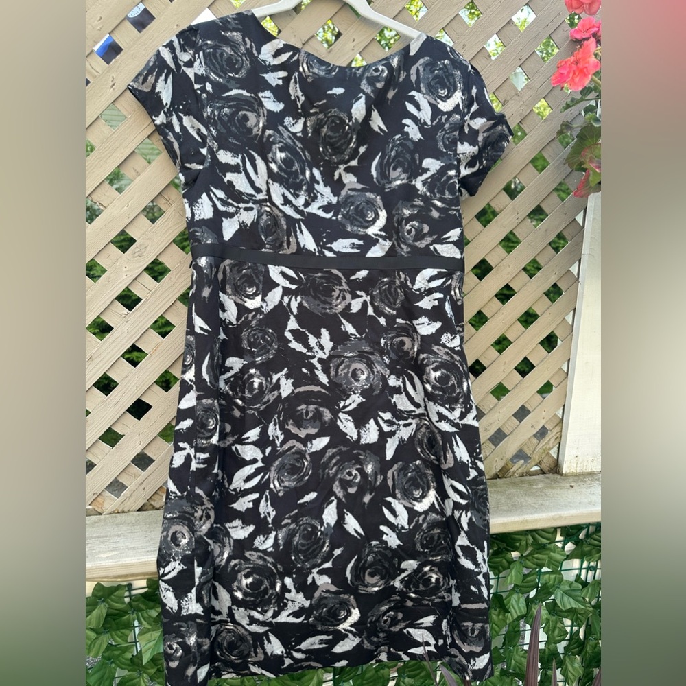 Ann Taylor Loft dress. Size 16. Like new